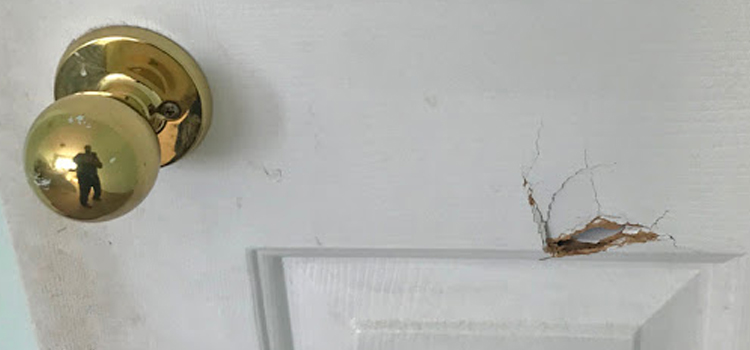 interior door hole repair Ben Lomond