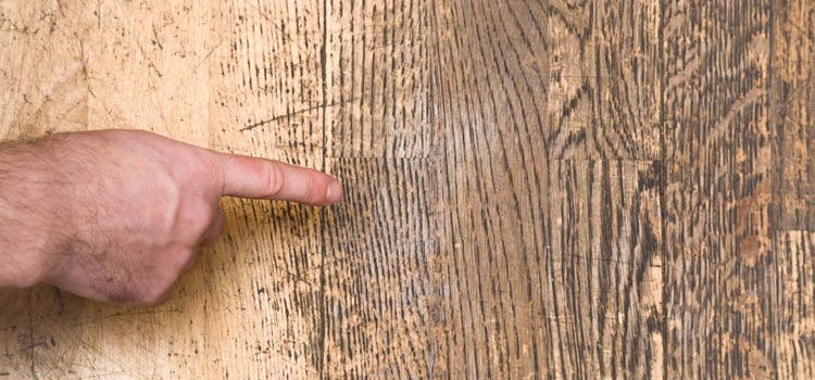 Wood Door Scratch Repair in Ben Lomond